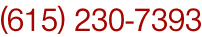 (615) 230-7393